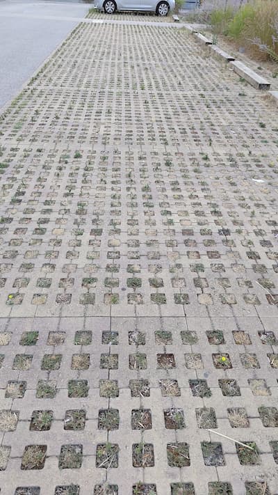 Dans la vraie vie, même les mauvaises herbes ne survivent pas. Sans racine, la terre s'envole avec le passage des voitures ne laissant que de gros trous.