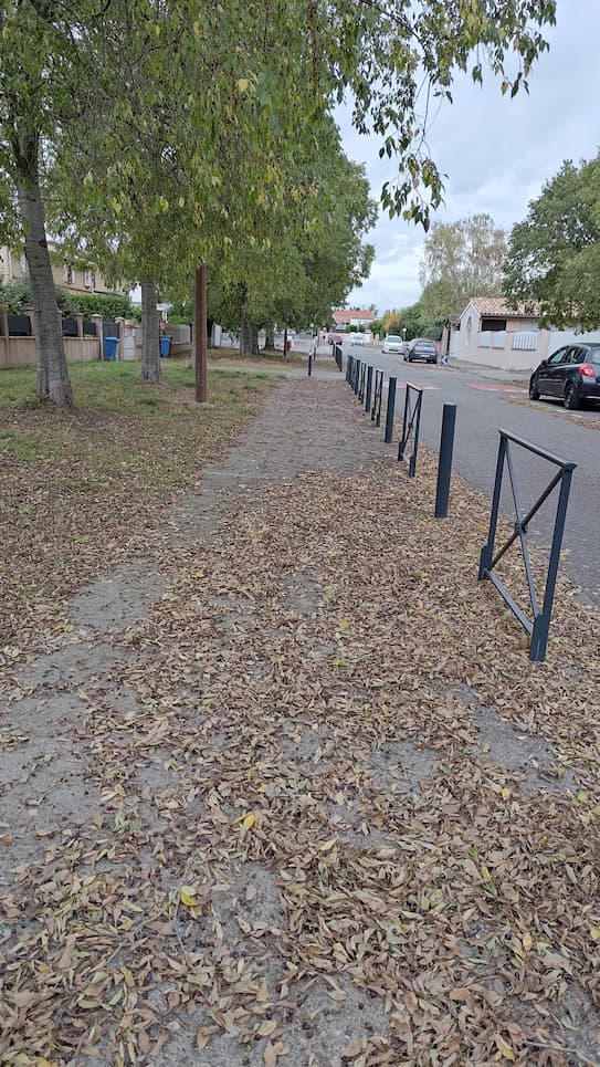 Strangely, those who endlessly tweet about the "awesome shade" of trees in summer go silent in autumn when branches and leaves make the public space impassable and dangerous.
